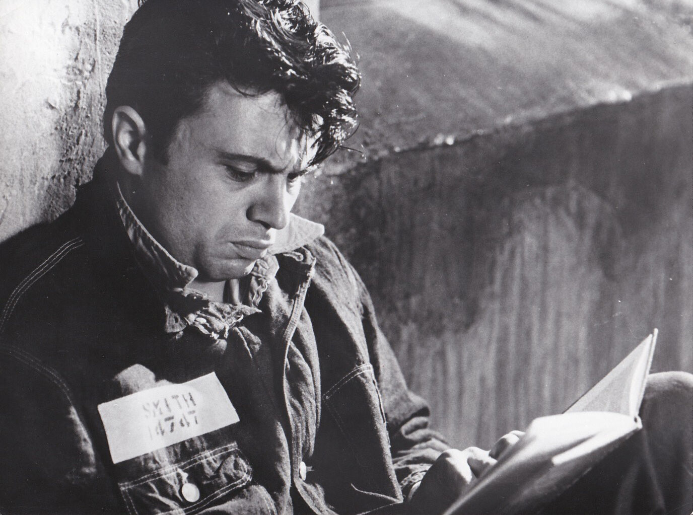 冷血剧照的剧照