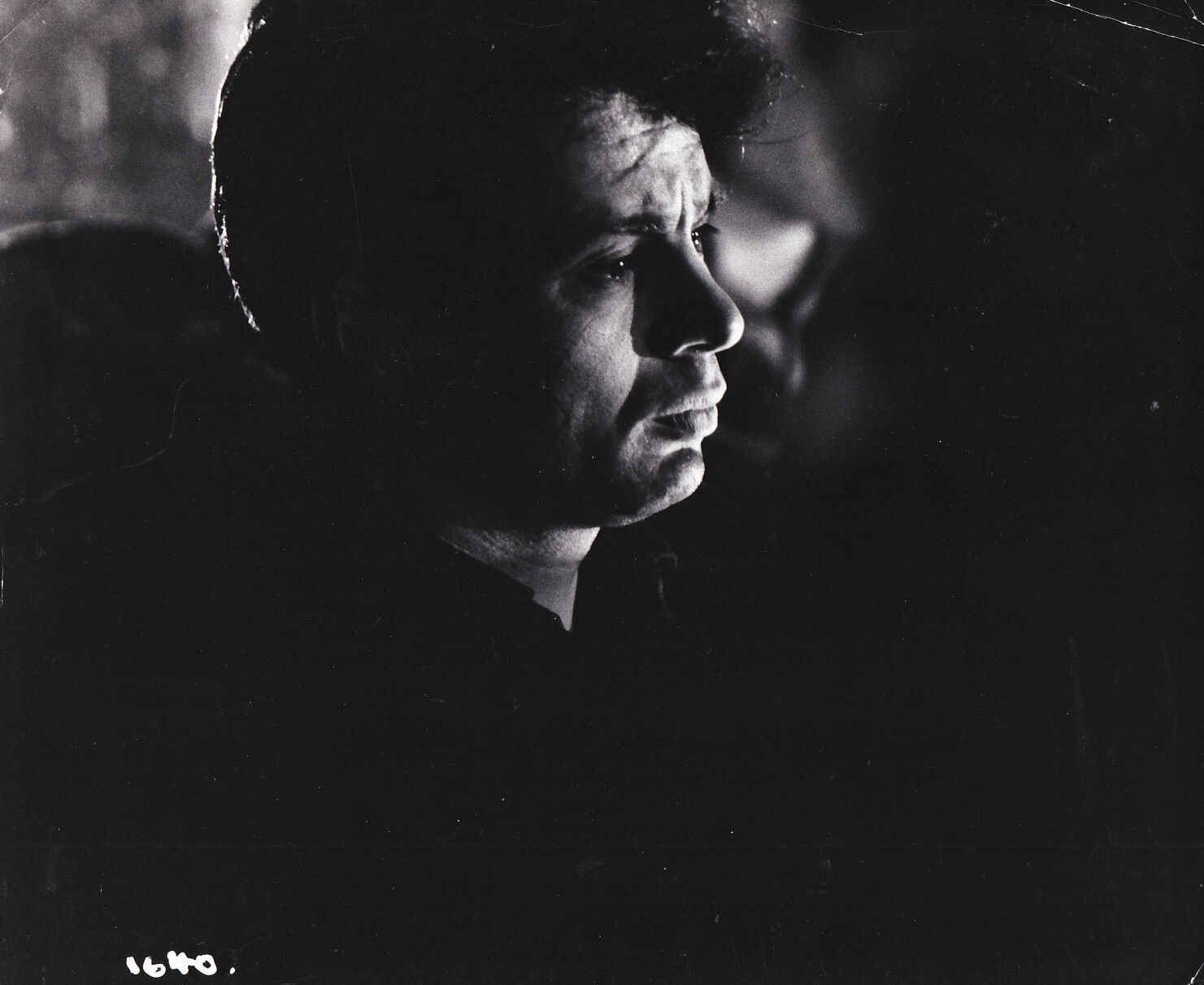 冷血剧照的剧照