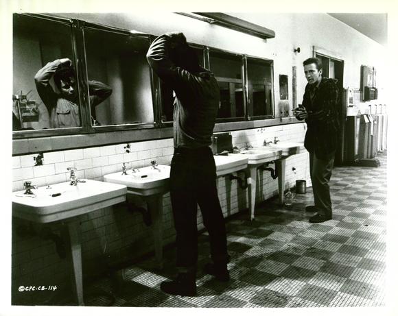 冷血剧照的剧照