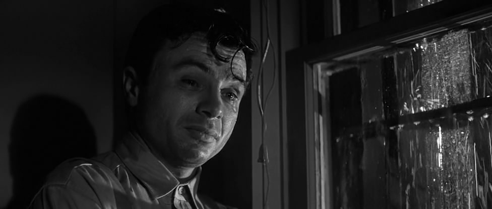 冷血剧照的剧照