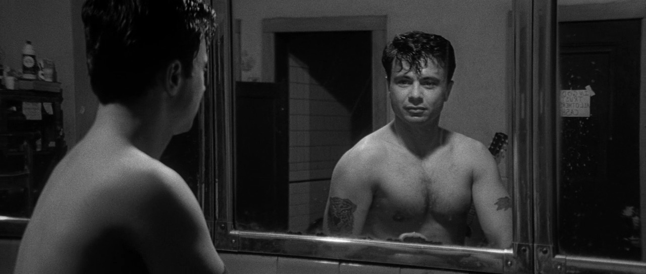 冷血剧照的剧照