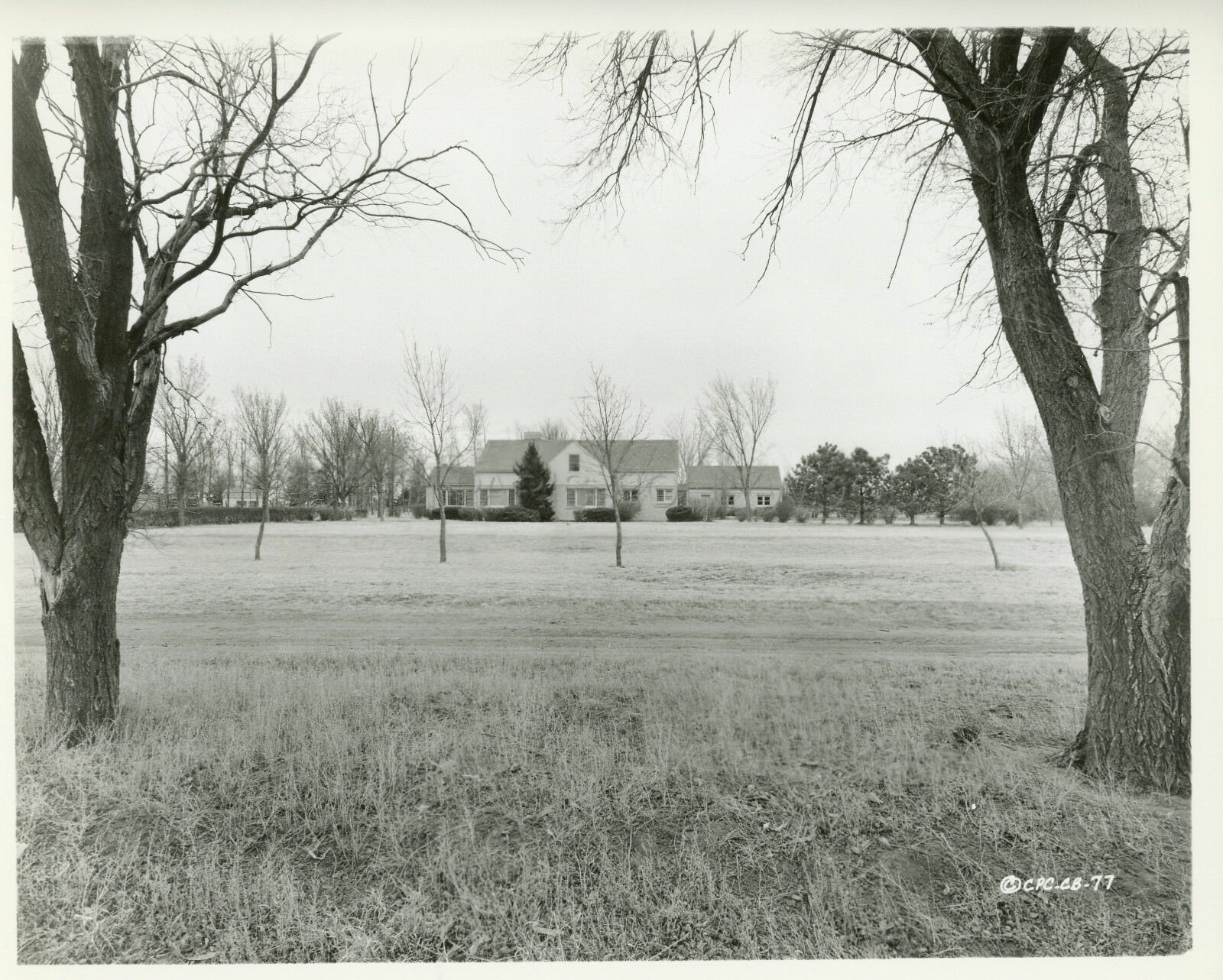 冷血剧照的剧照