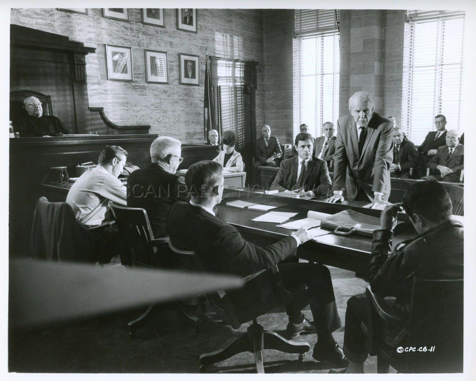 冷血剧照的剧照