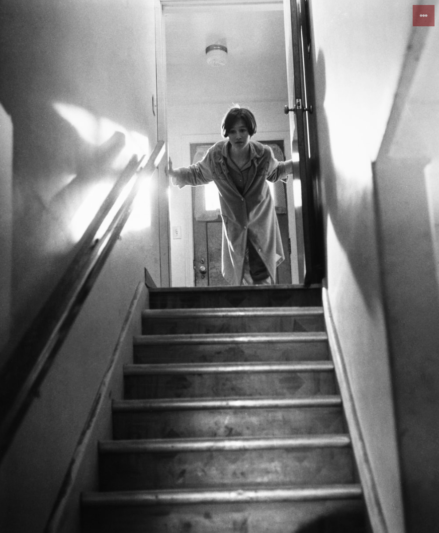 冷血剧照的剧照