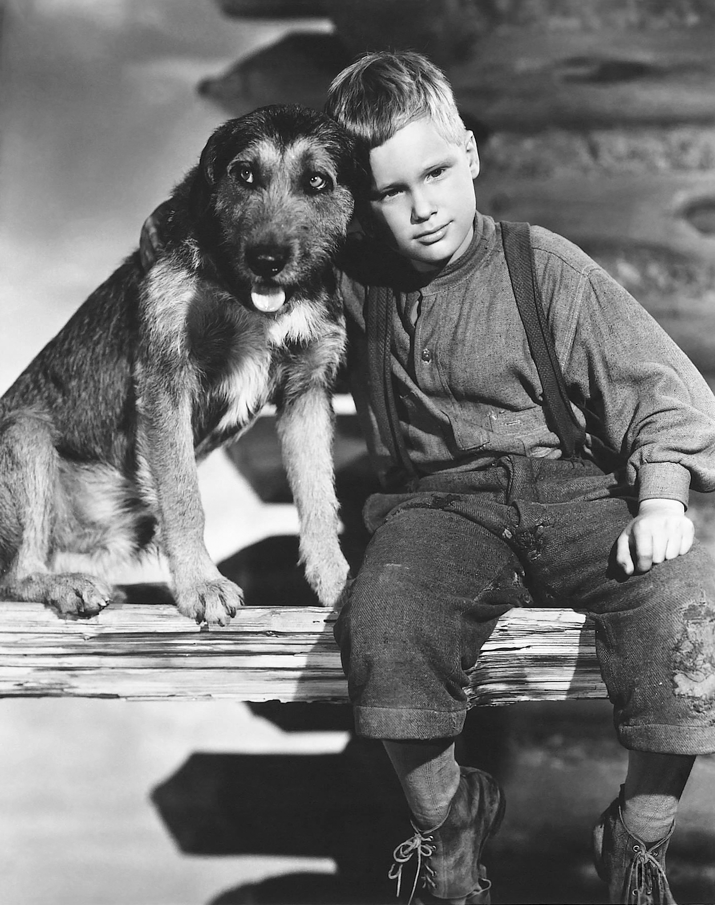 原野奇侠剧照的剧照