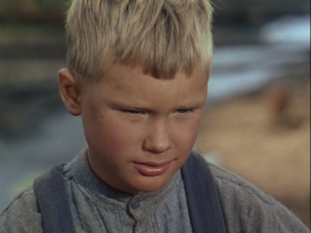 原野奇侠剧照的剧照