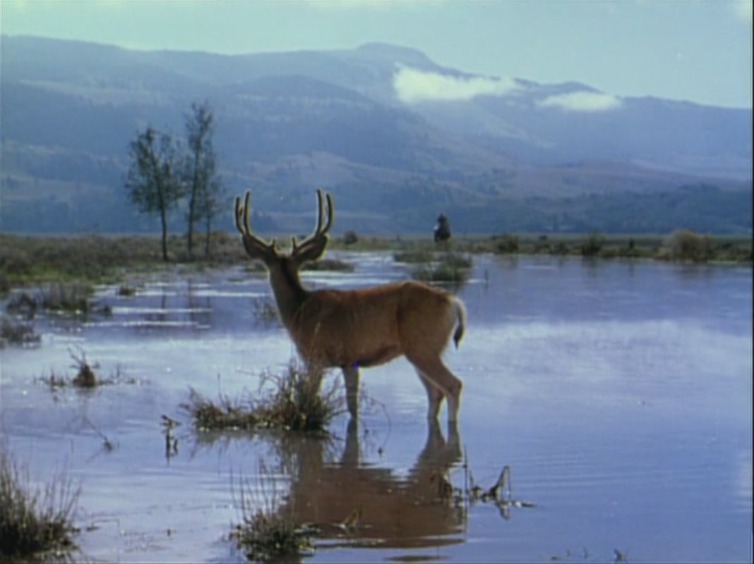 原野奇侠剧照的剧照
