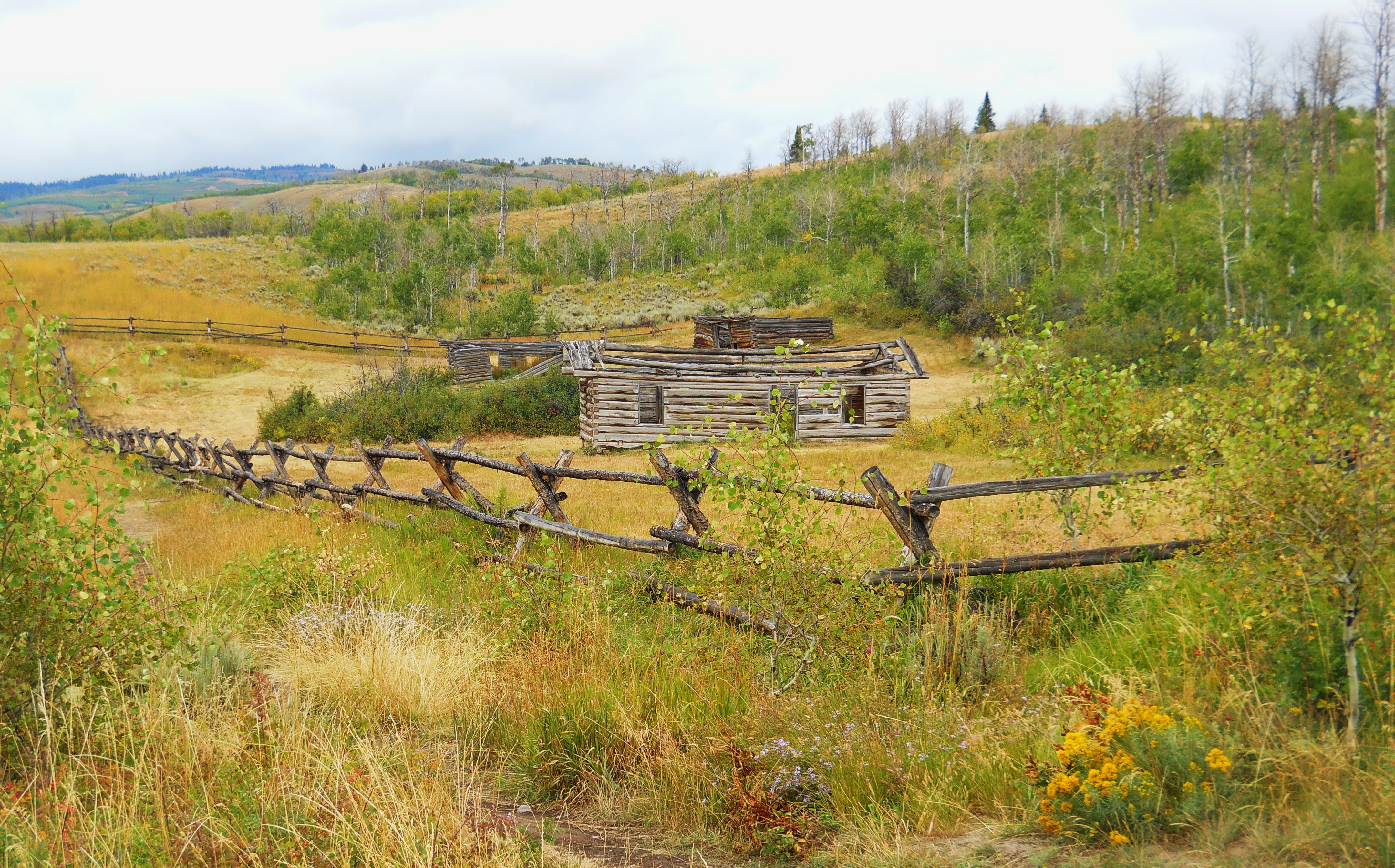 原野奇侠剧照的剧照