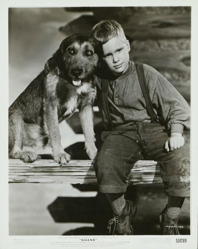 原野奇侠剧照的剧照