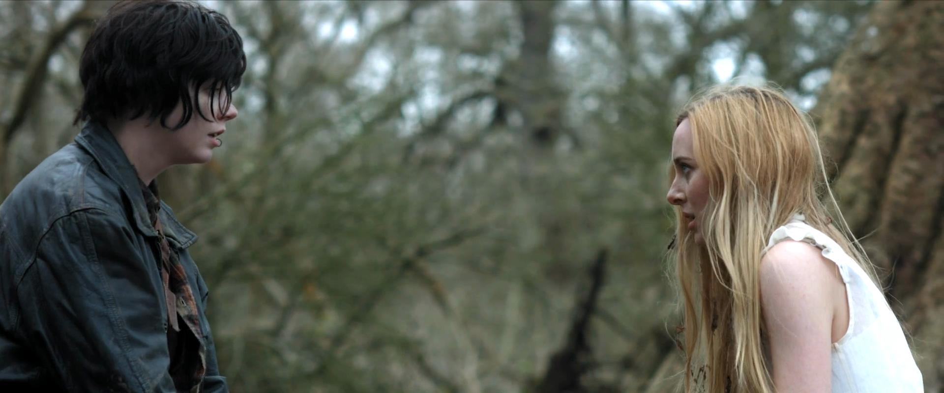 猫皮剧照的剧照