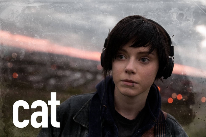 猫皮剧照的剧照