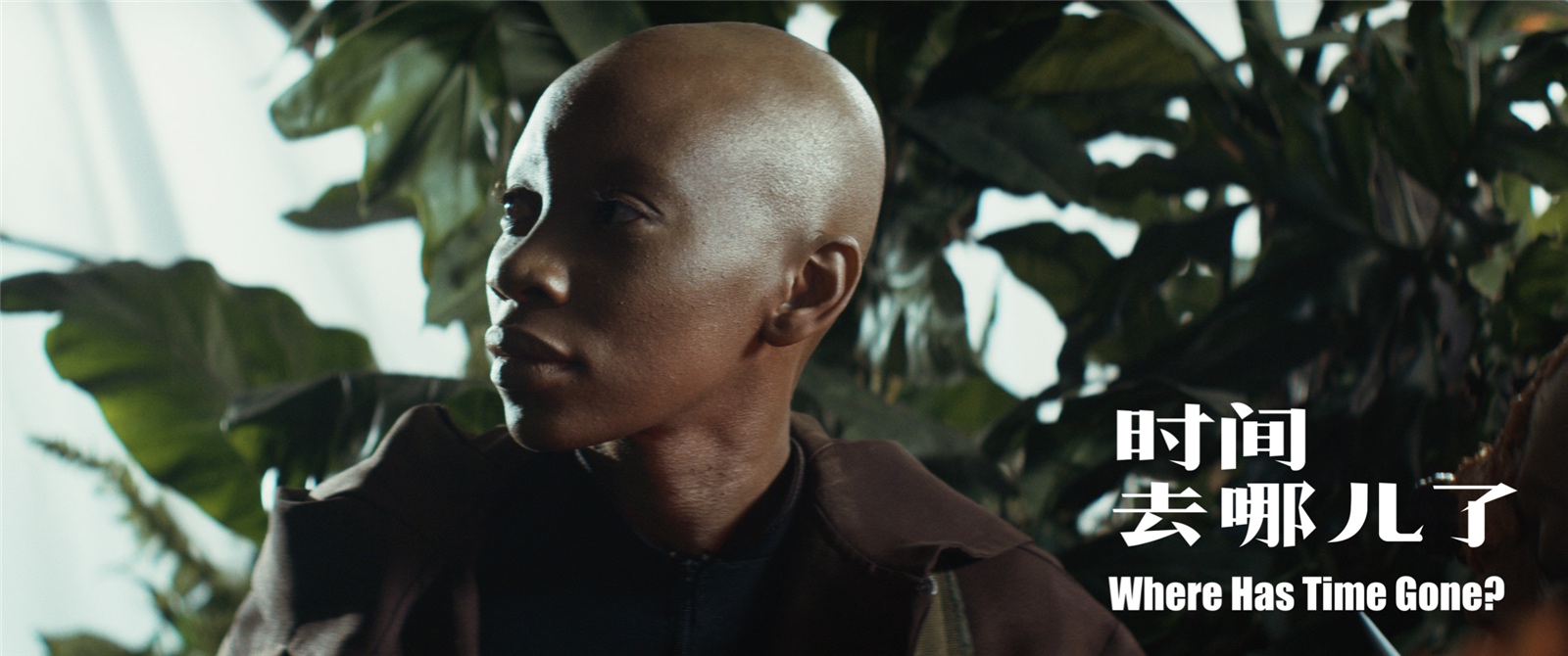 时间去哪儿了剧照的剧照