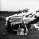 大鸟和小鸟剧照