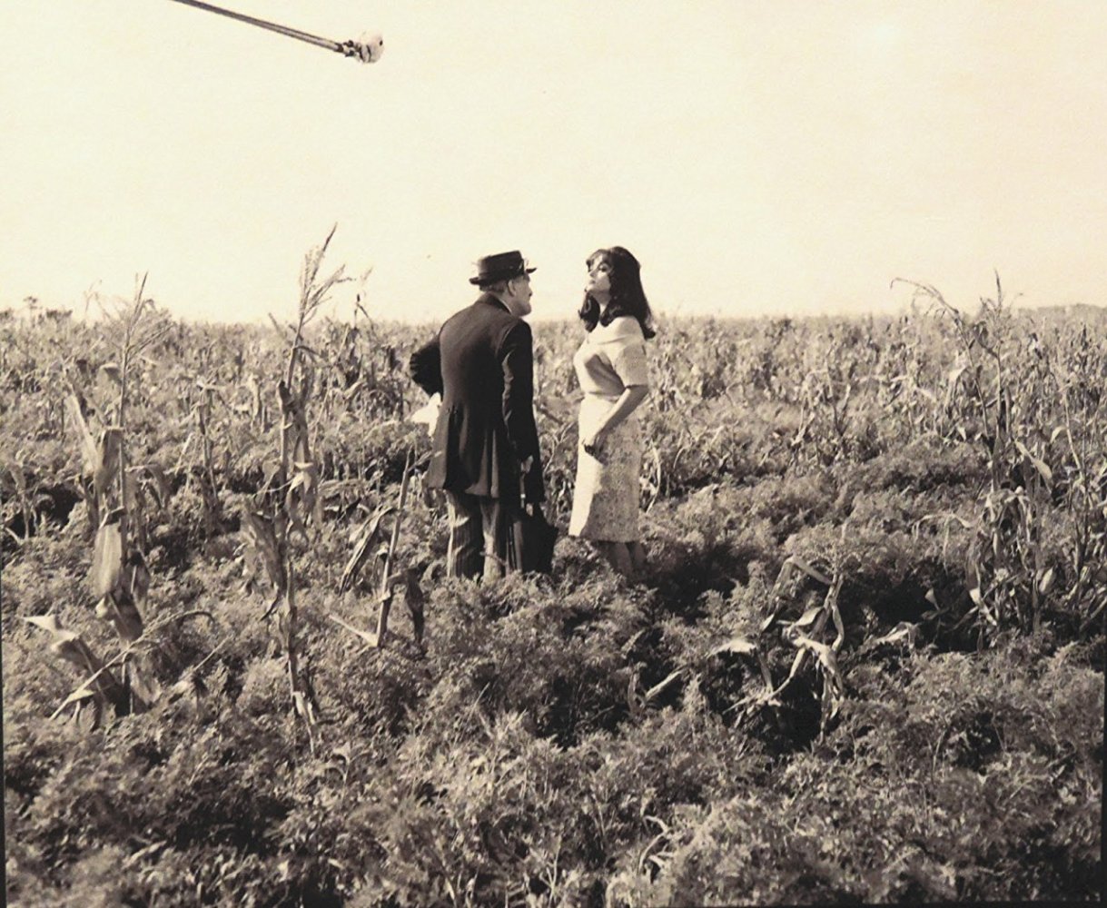 大鸟和小鸟剧照的剧照