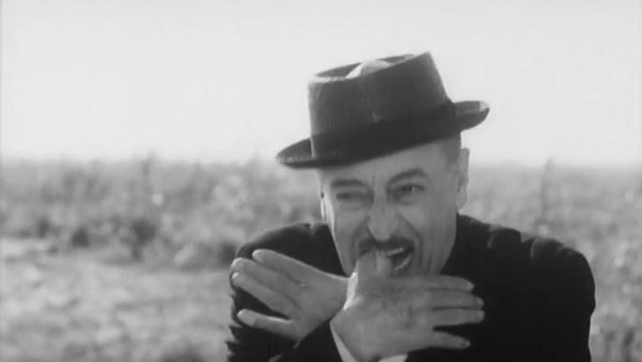 大鸟和小鸟剧照的剧照