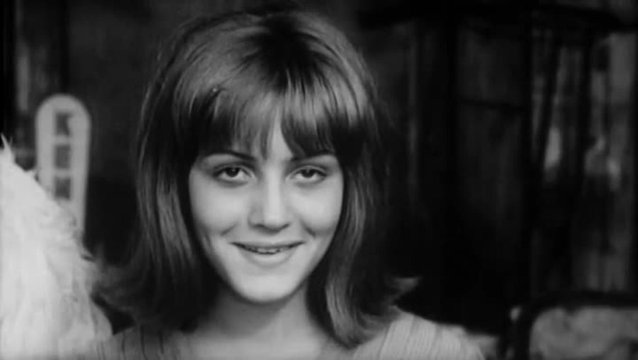 大鸟和小鸟剧照的剧照