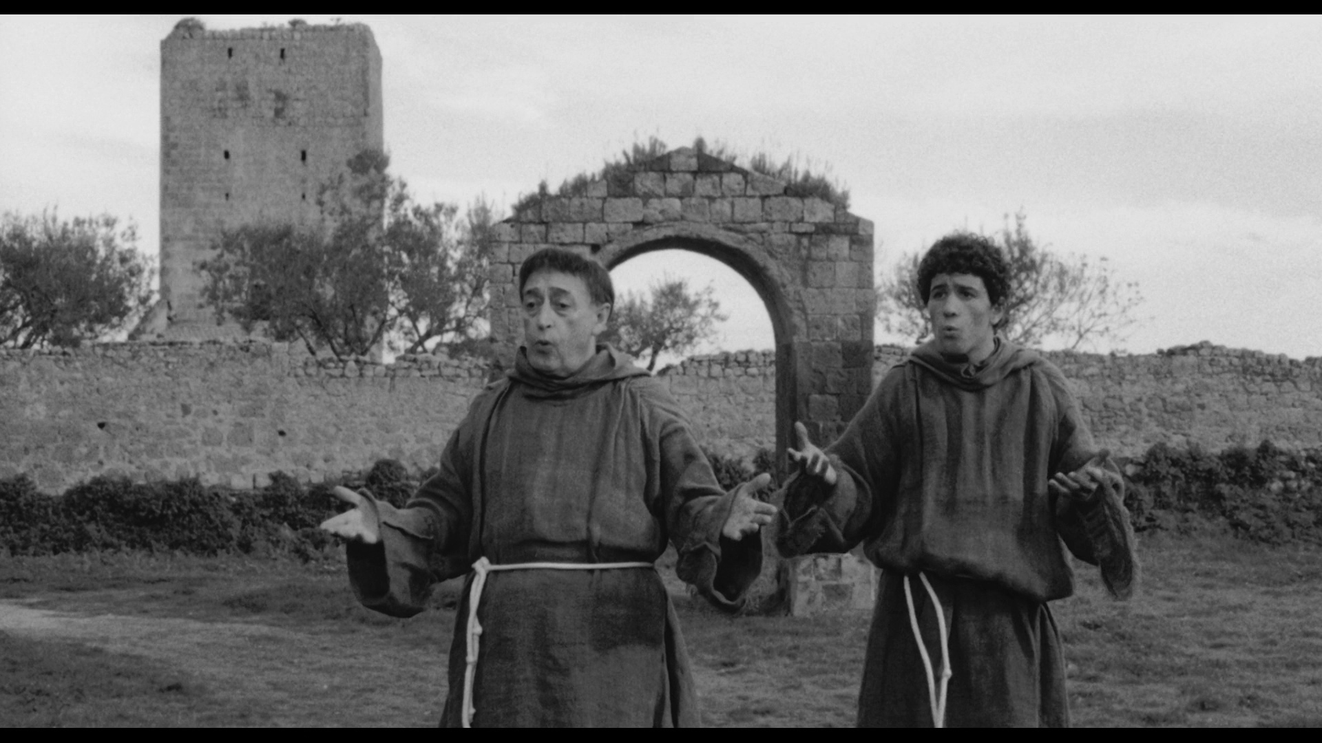 大鸟和小鸟剧照的剧照