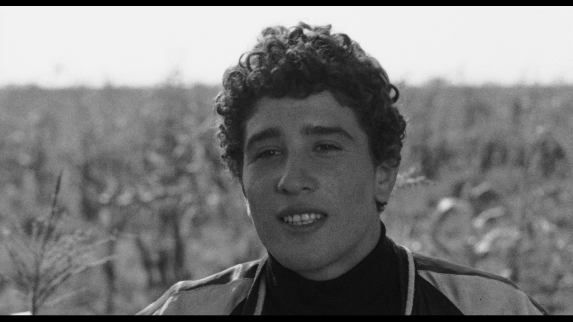 大鸟和小鸟剧照的剧照