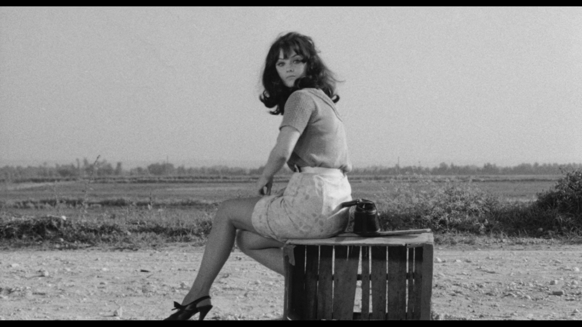 大鸟和小鸟剧照的剧照