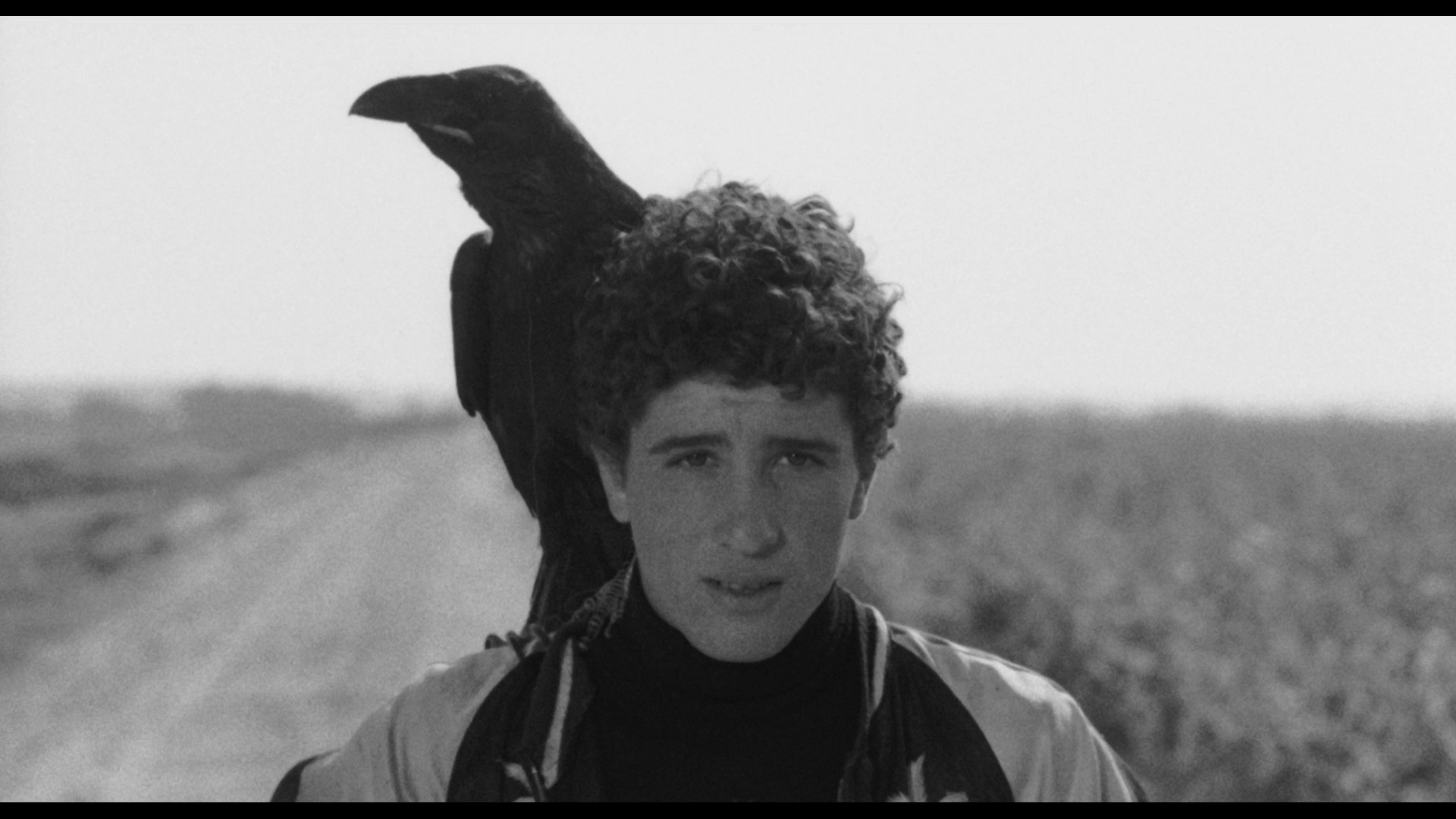 大鸟和小鸟剧照的剧照