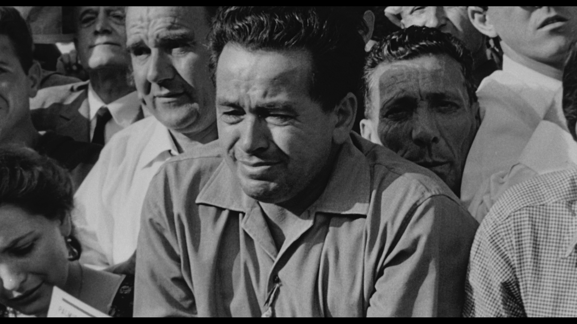 大鸟和小鸟剧照的剧照