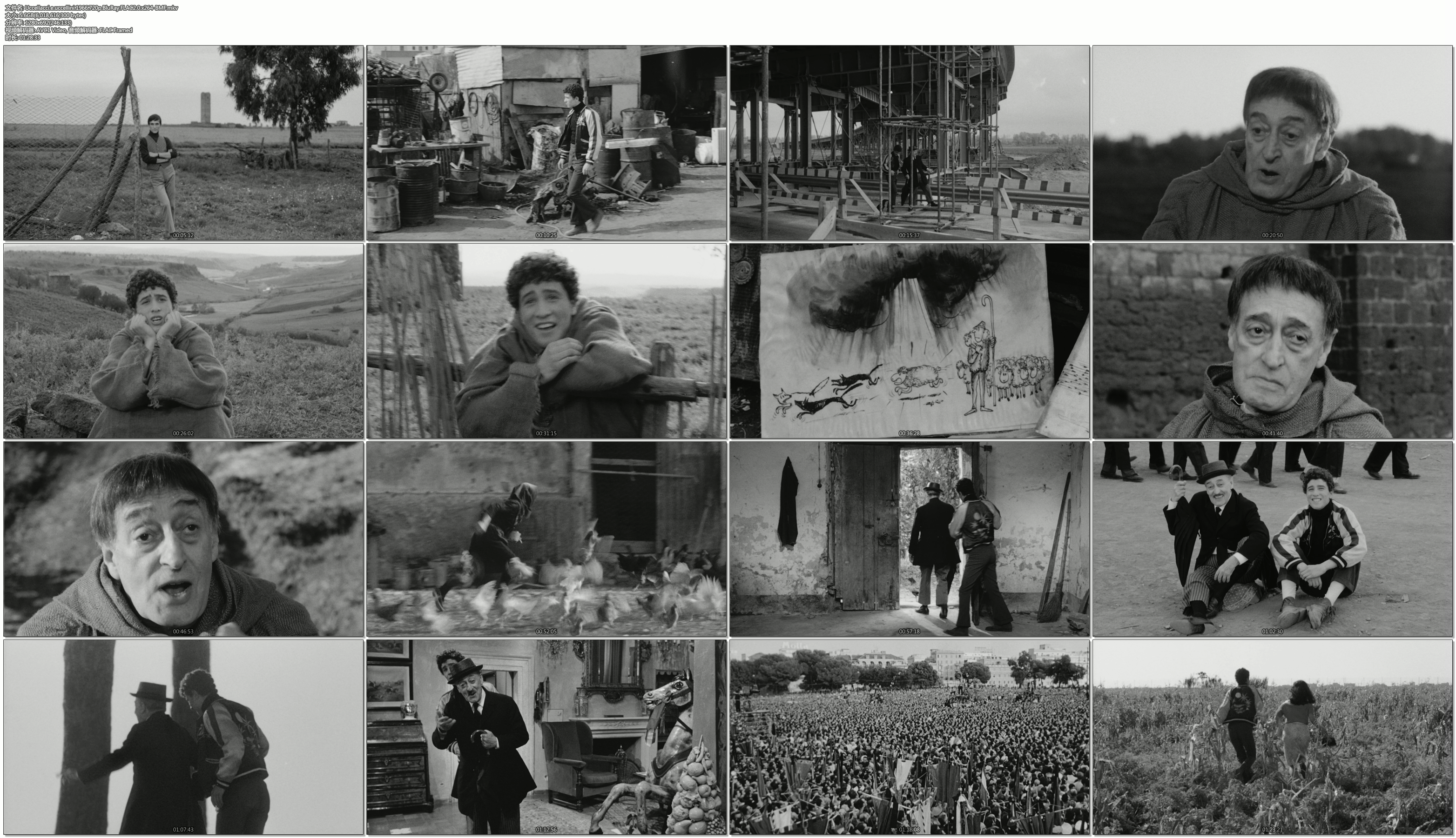 大鸟和小鸟剧照的剧照