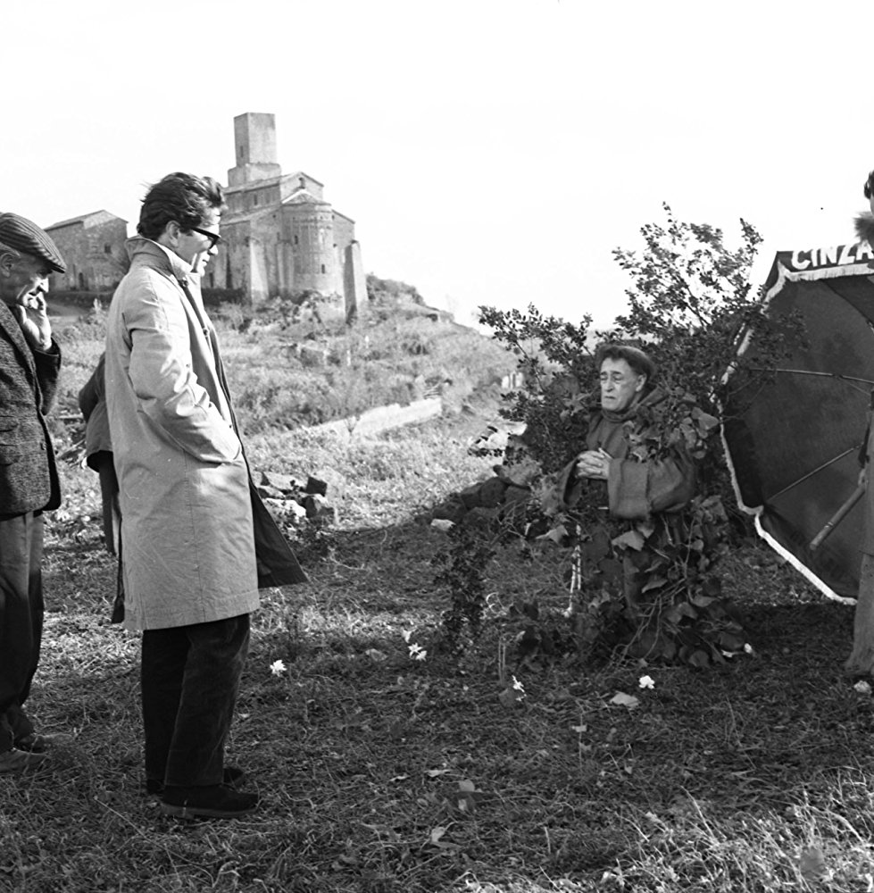 大鸟和小鸟剧照的剧照