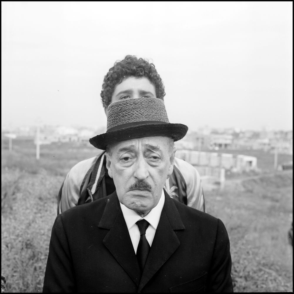 大鸟和小鸟剧照的剧照