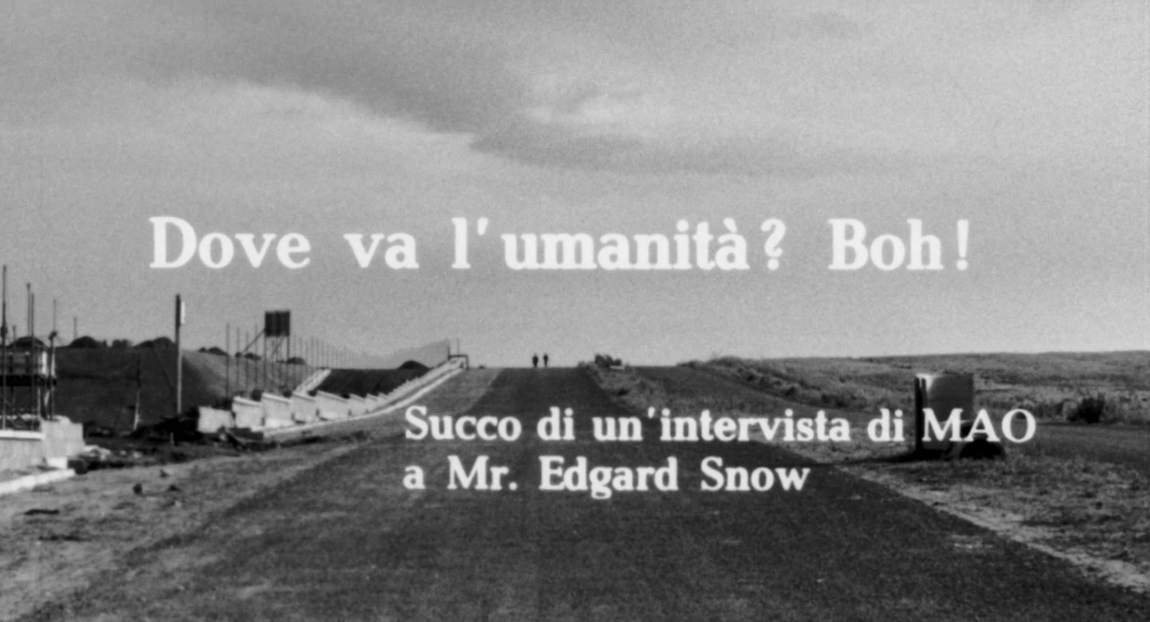 大鸟和小鸟剧照的剧照