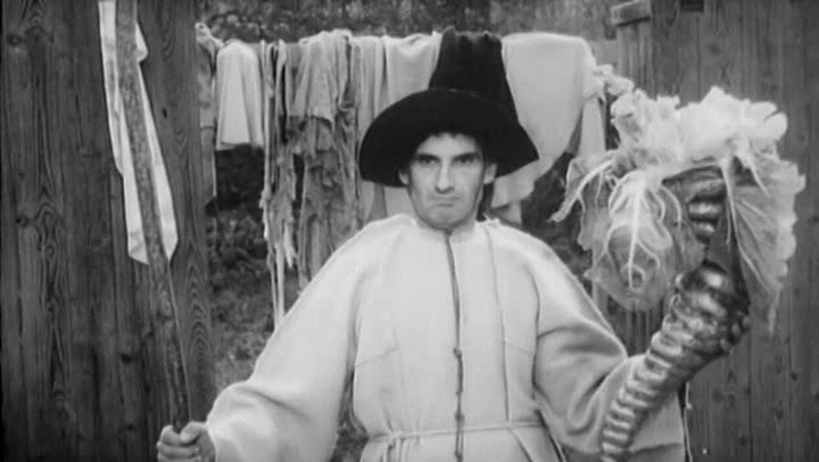 大鸟和小鸟剧照的剧照