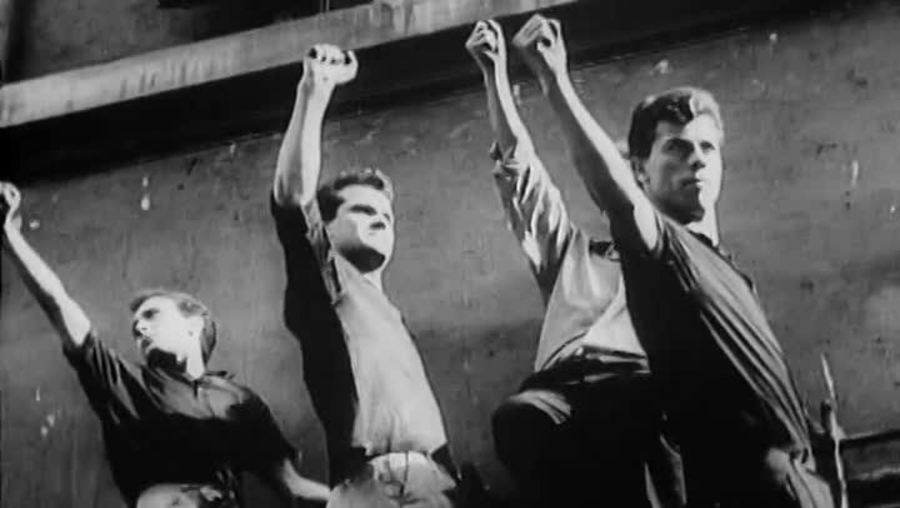 大鸟和小鸟剧照的剧照