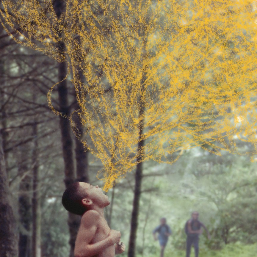 我们，动物剧照的剧照