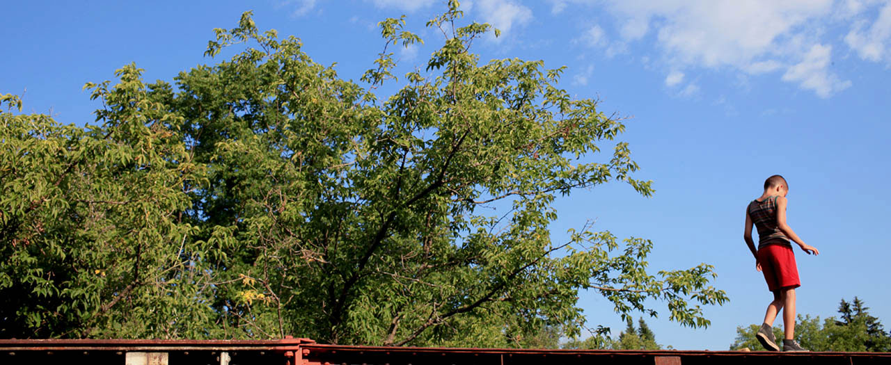 我们，动物剧照的剧照