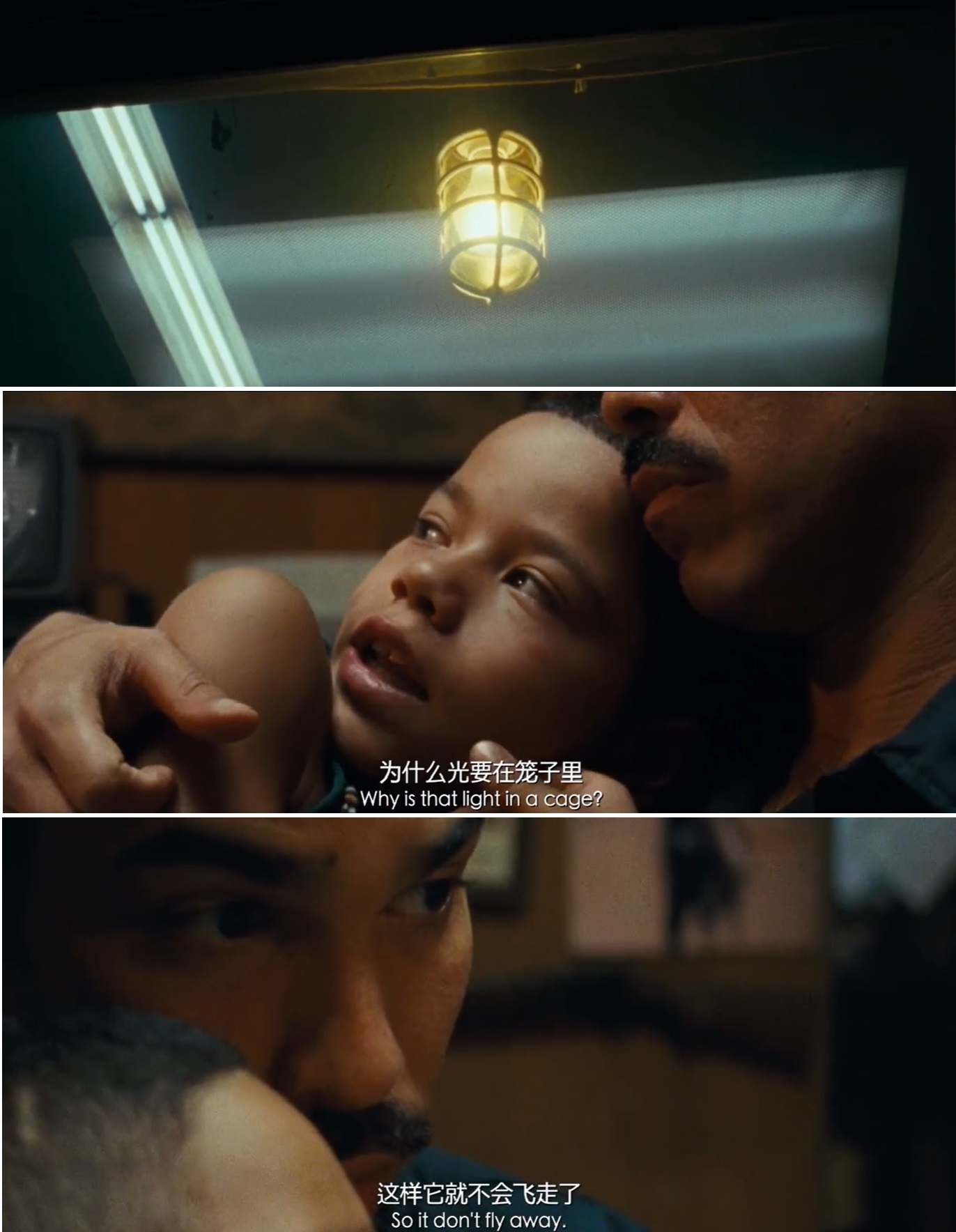 我们，动物剧照的剧照