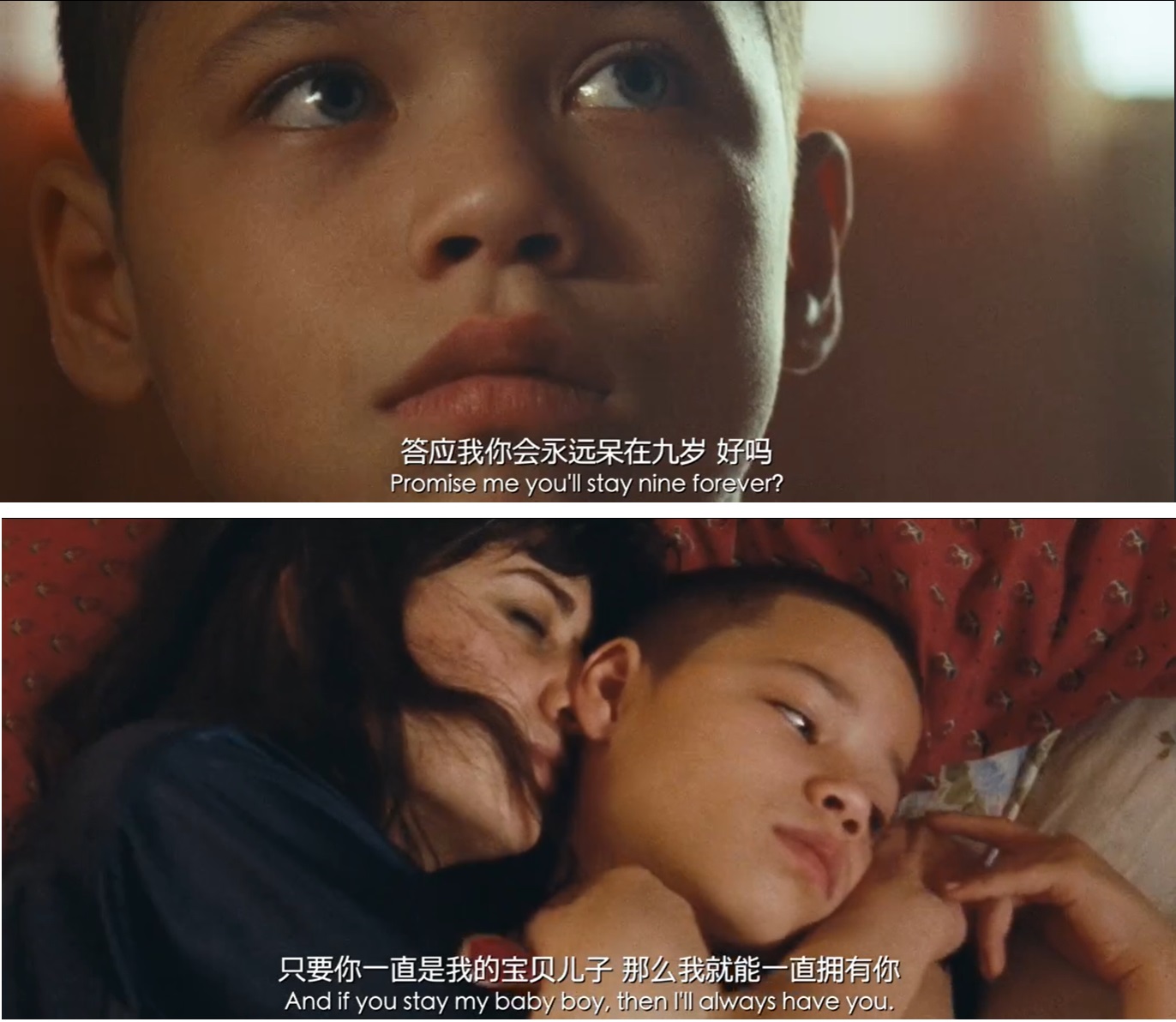 我们，动物剧照的剧照