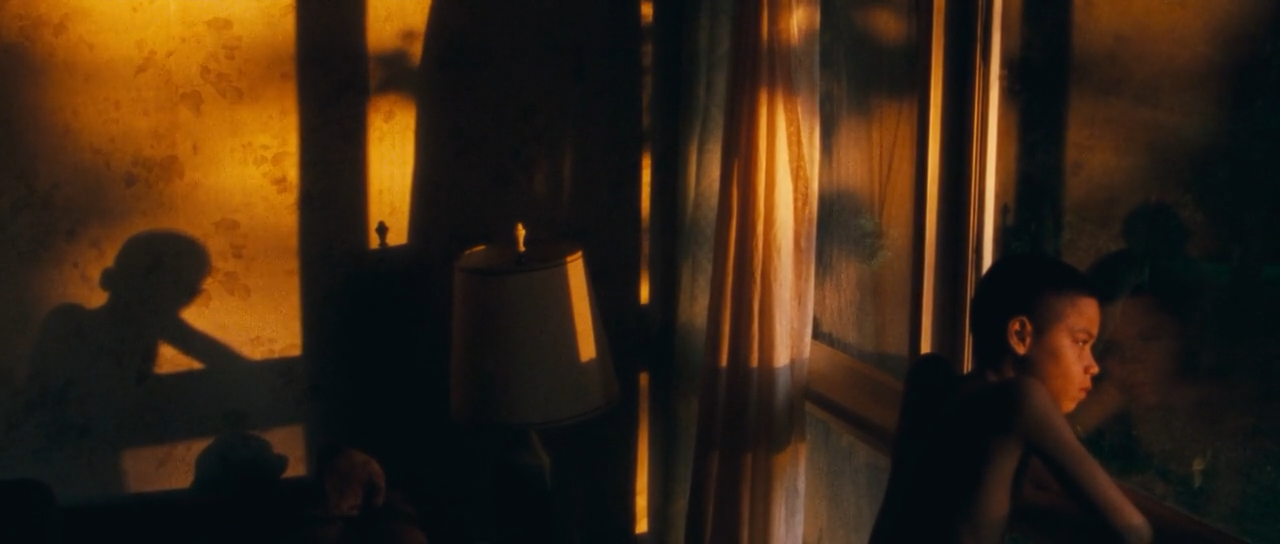 我们，动物剧照的剧照