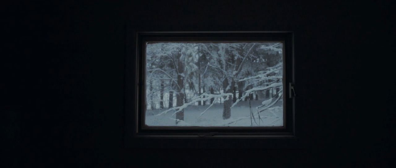 我们，动物剧照的剧照