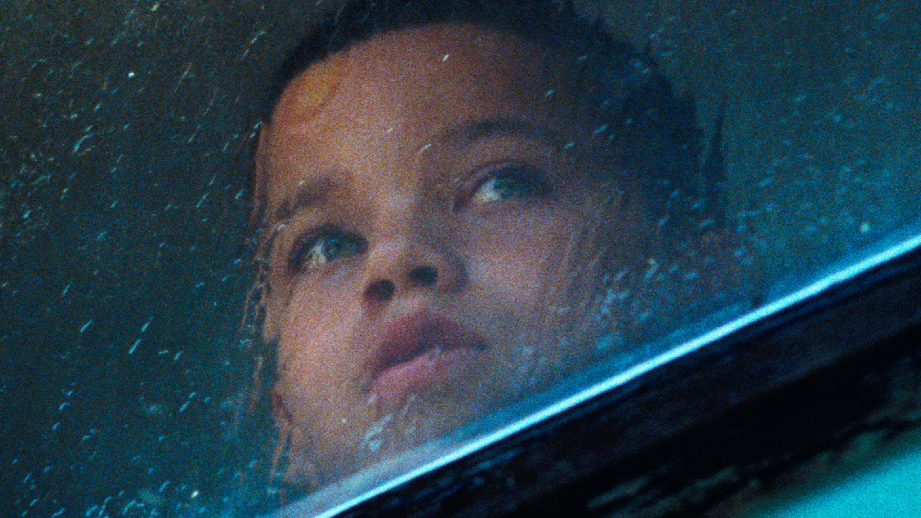 我们，动物剧照的剧照