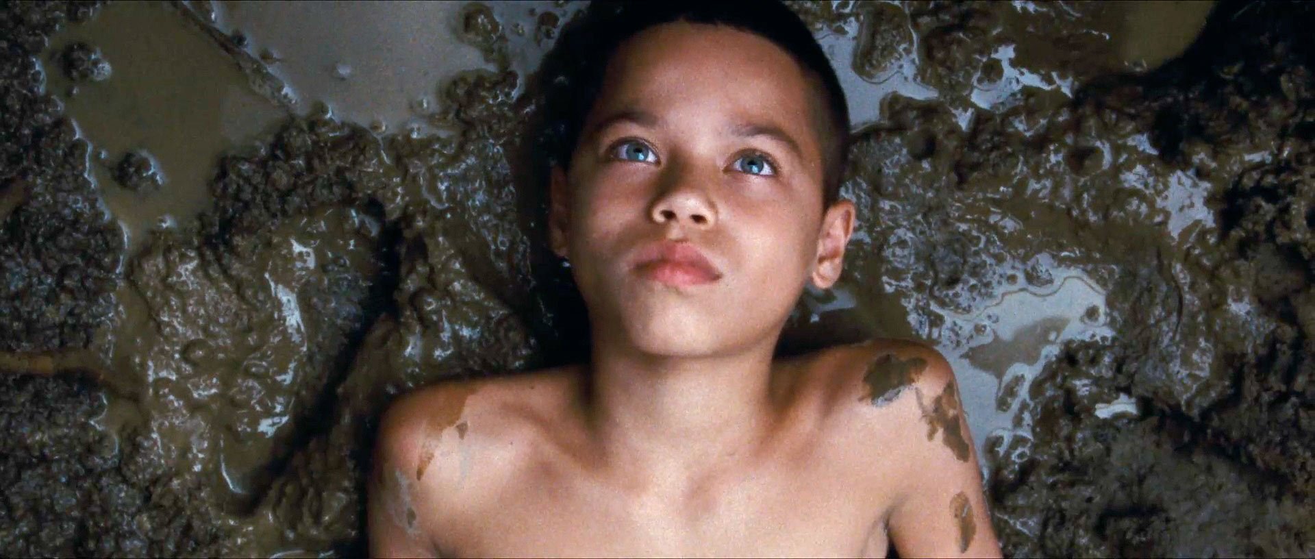 我们，动物剧照的剧照