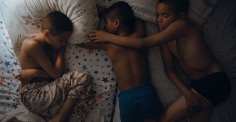 我们，动物剧照的剧照