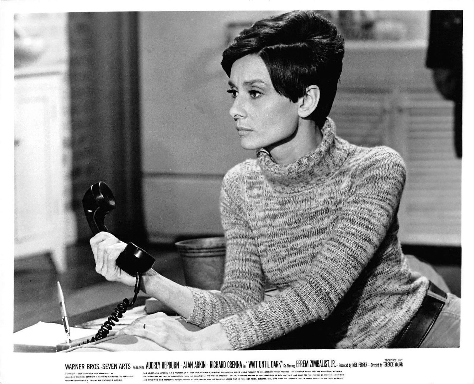 盲女惊魂记剧照的剧照