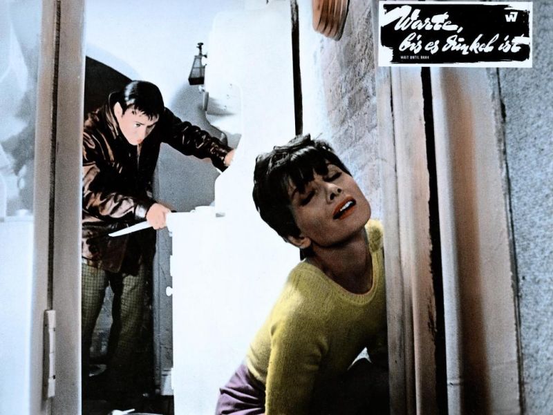 盲女惊魂记剧照的剧照