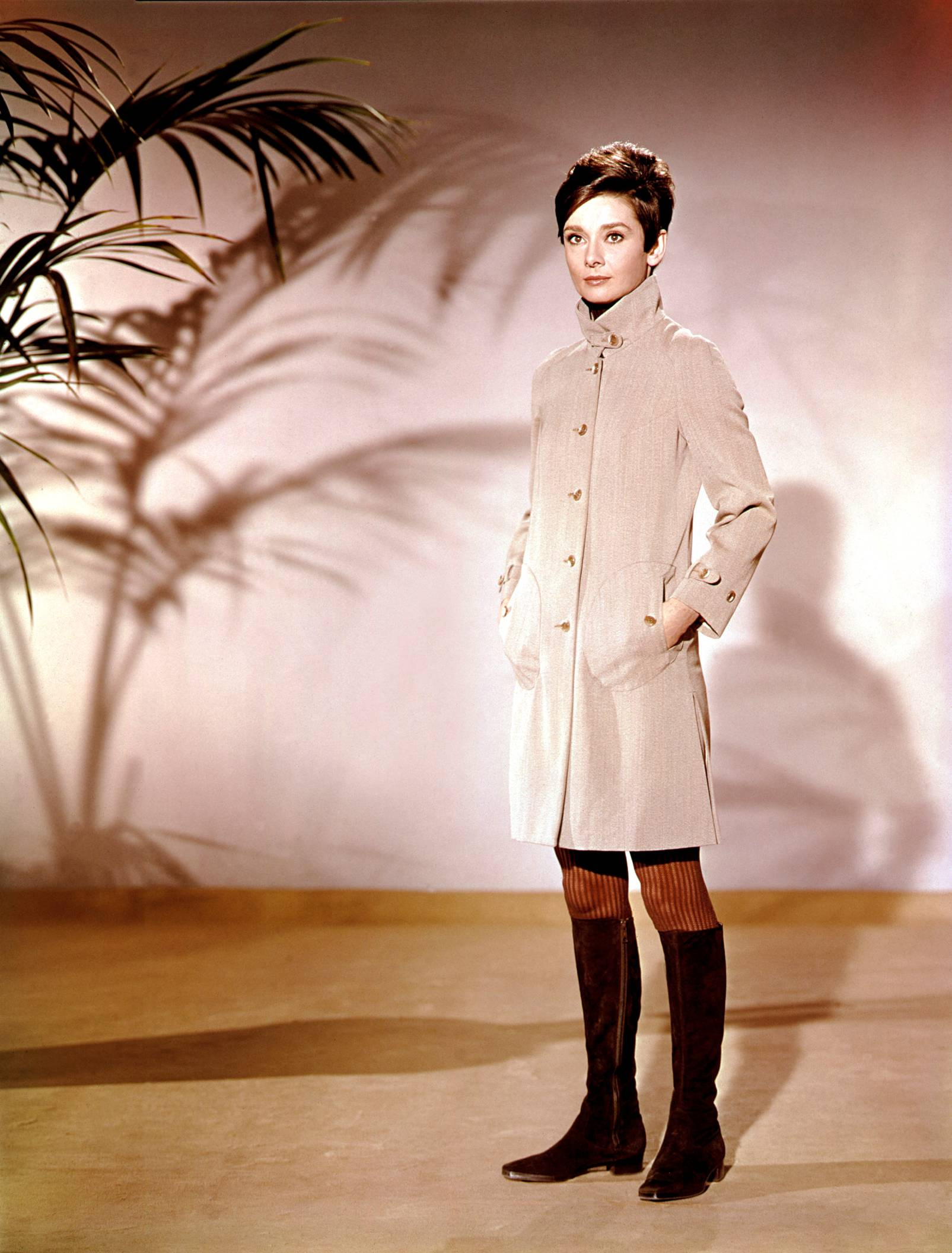 盲女惊魂记剧照的剧照