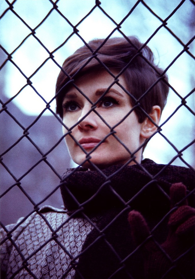 盲女惊魂记剧照的剧照