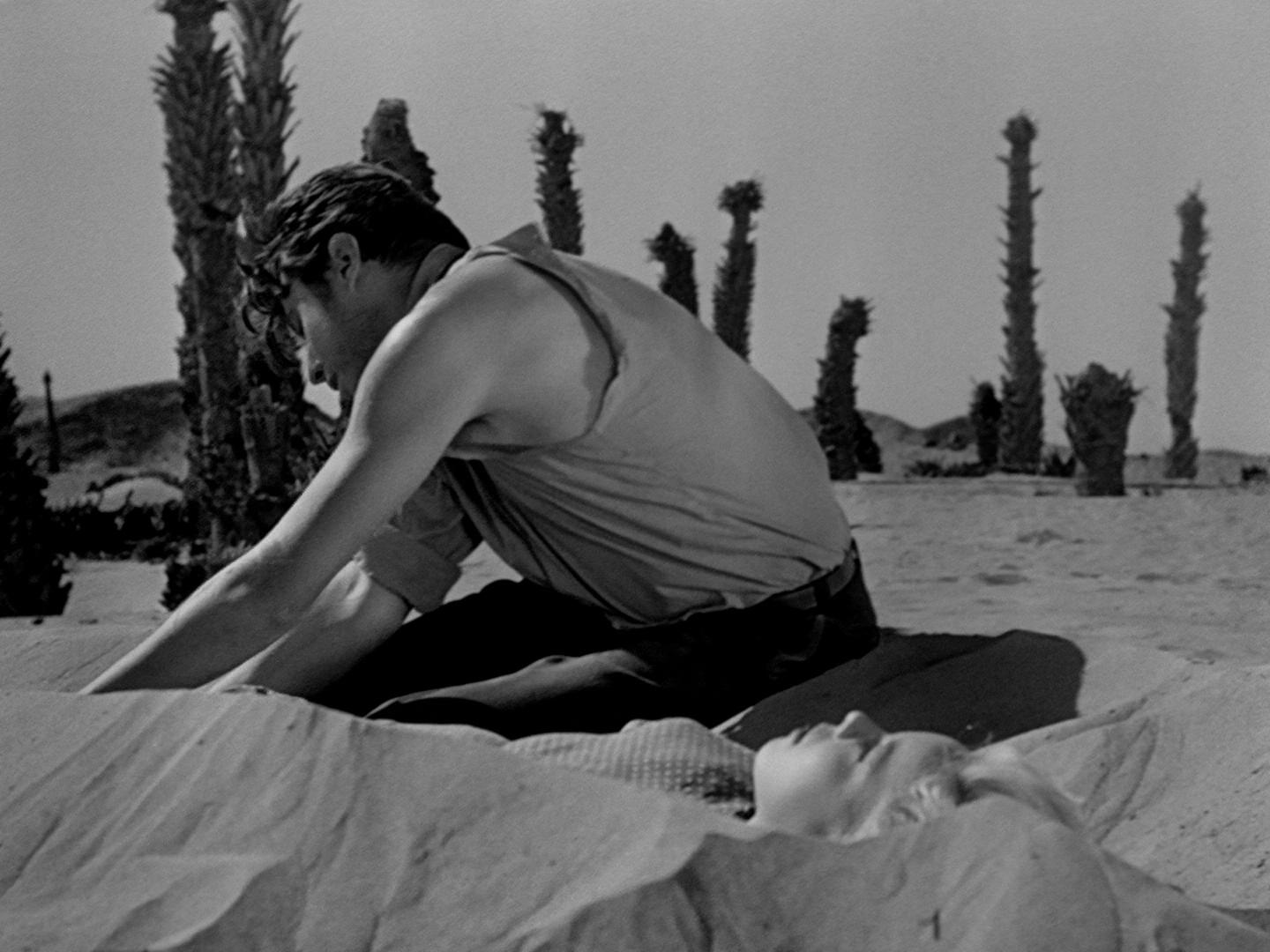 情妇玛侬剧照的剧照