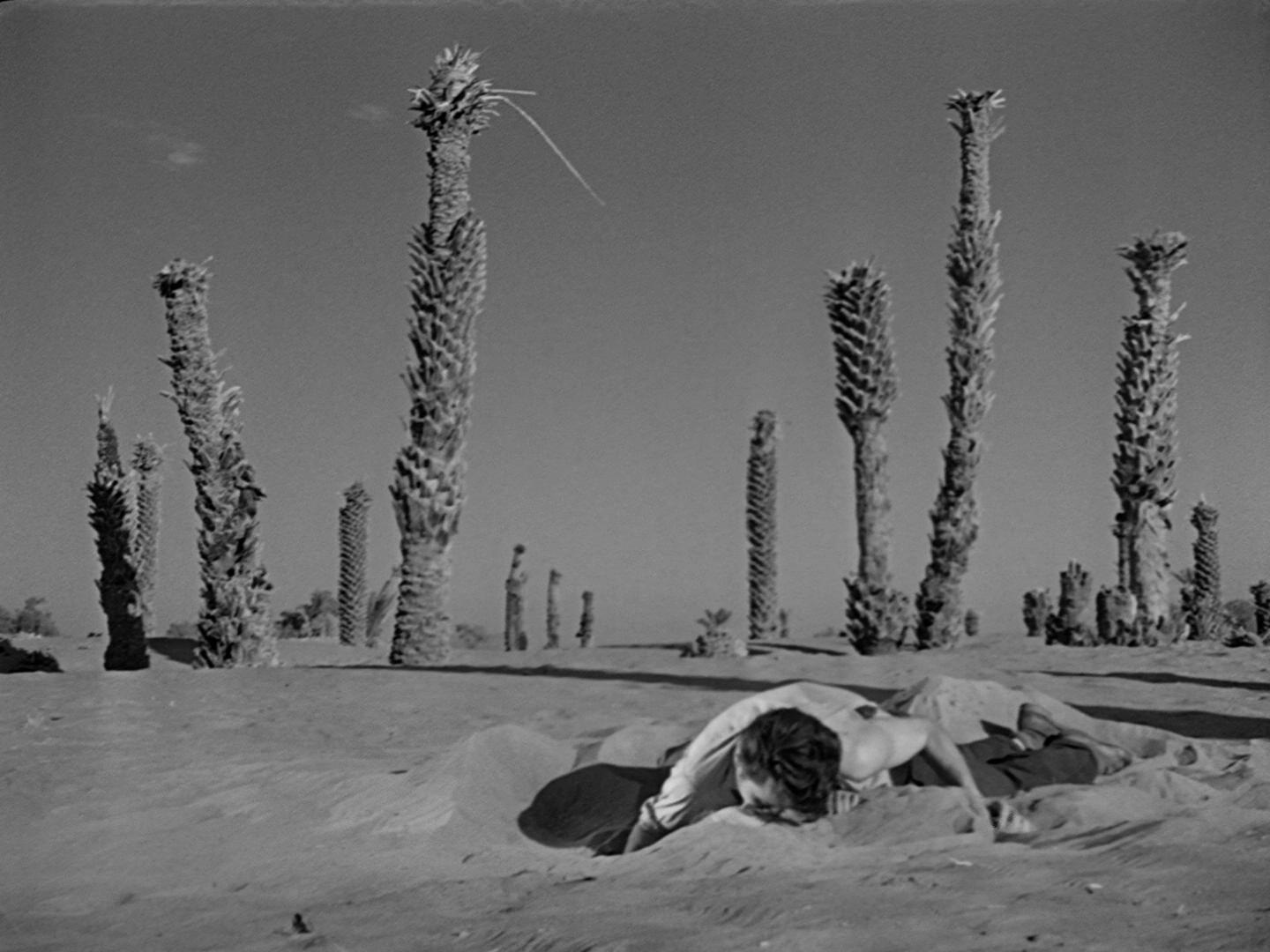 情妇玛侬剧照的剧照