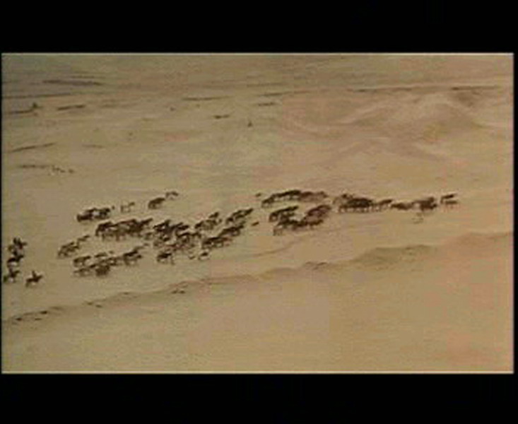 豪情盖天剧照的剧照