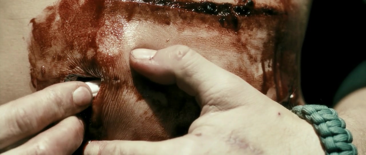 孤胆保镖剧照的剧照