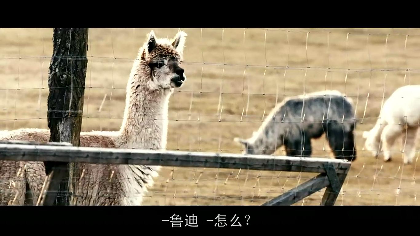 孤胆保镖剧照的剧照