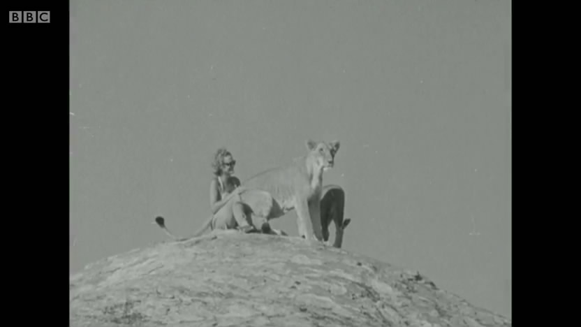 母狮爱尔莎剧照的剧照